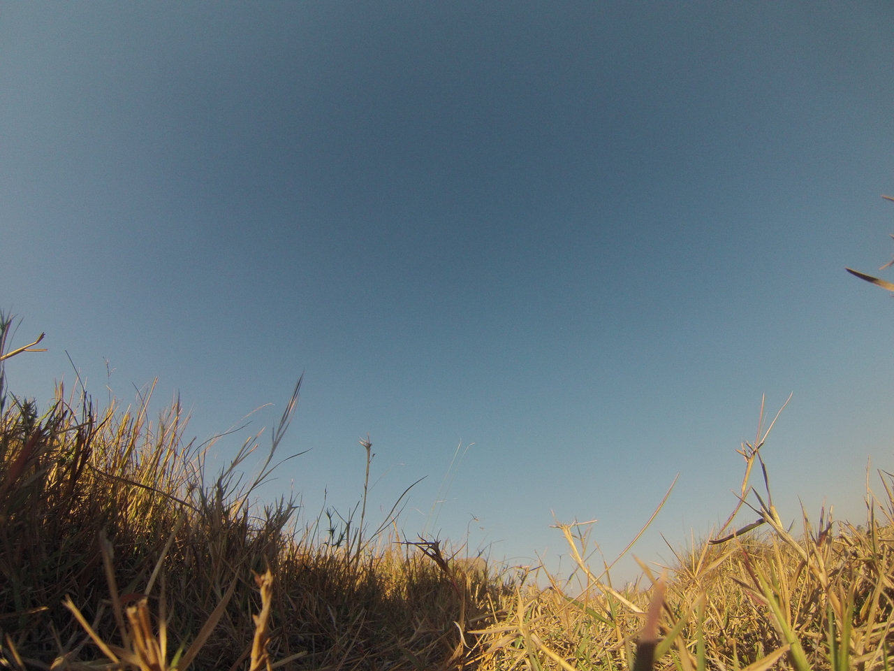 [25668] 2016_06_30_15_04_01_Africa_Hero3-Silver_Edition_IMG__02045.jpg