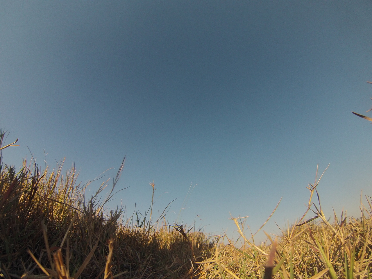 [25676] 2016_06_30_15_04_07_Africa_Hero3-Silver_Edition_IMG__01600.jpg