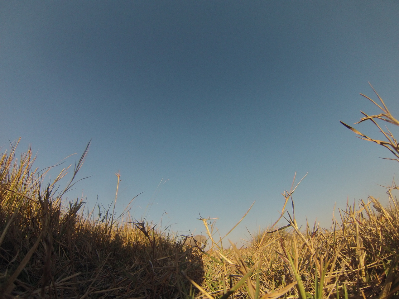 [25755] 2016_06_30_15_05_03_Africa_Hero3-Silver_Edition_IMG__02074.jpg