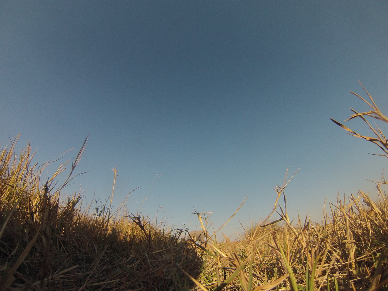 [25762] 2016_06_30_15_05_09_Africa_Hero3-Silver_Edition_IMG__00683.jpg