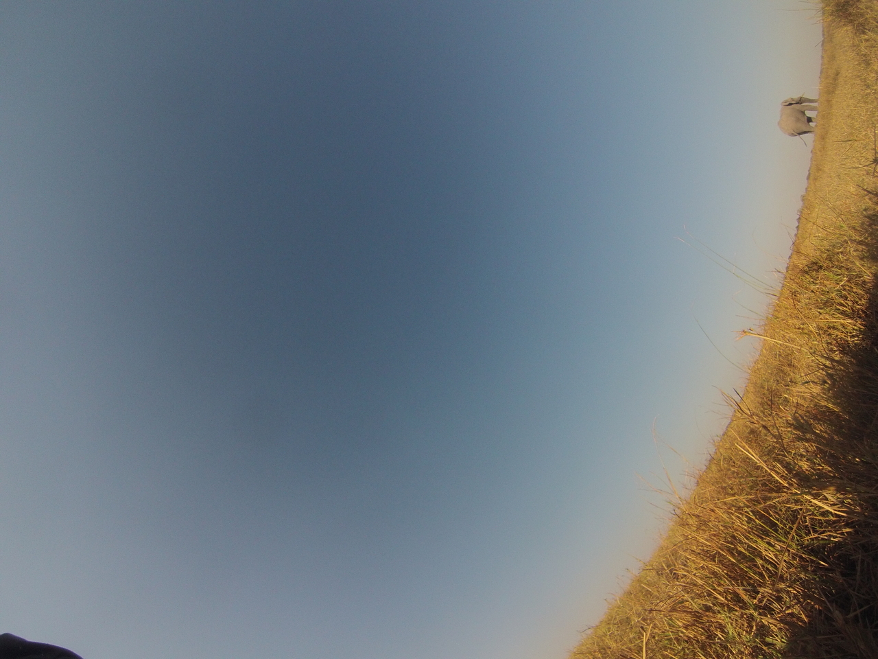 [25768] 2016_06_30_15_05_13_Africa_Hero3-Silver_Edition_IMG__00685.jpg