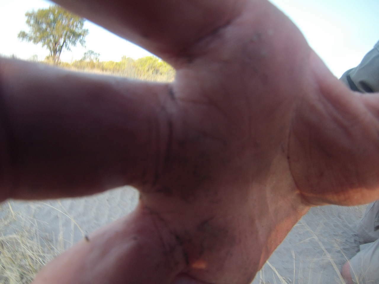 [26479] 2016_06_30_16_20_09_Africa_Hero3-Silver_Edition_IMG__02299.jpg