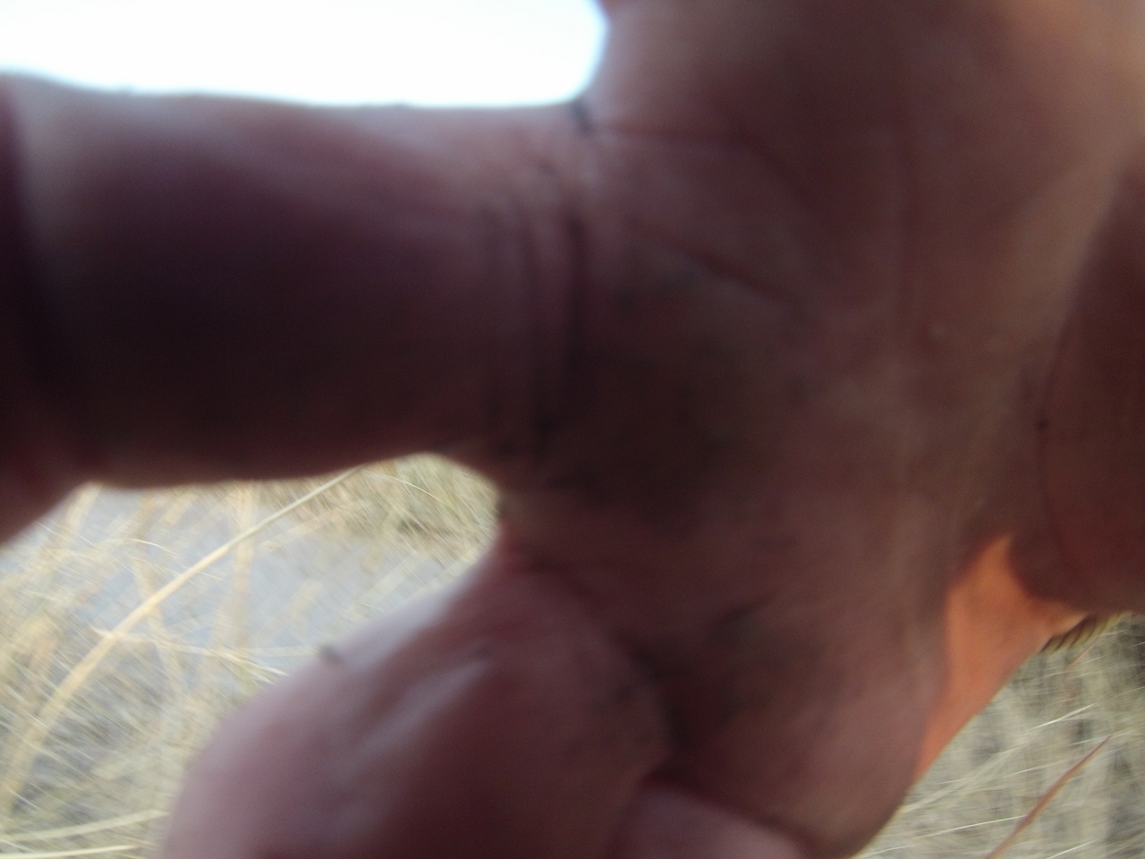 [26480] 2016_06_30_16_20_11_Africa_Hero3-Silver_Edition_IMG__00906.jpg