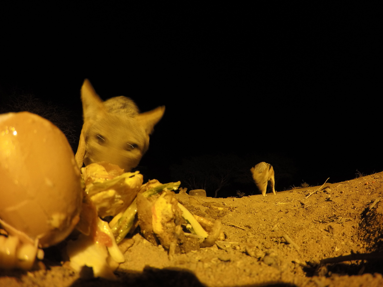 [10271] 2016_06_23_19_02_31_Africa_HERO4_Silver_IMG__03896.jpg