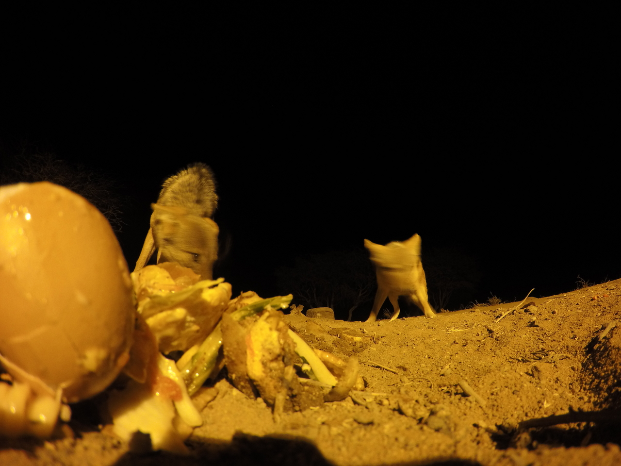 [10298] 2016_06_23_19_02_56_Africa_HERO4_Silver_IMG__00046.jpg