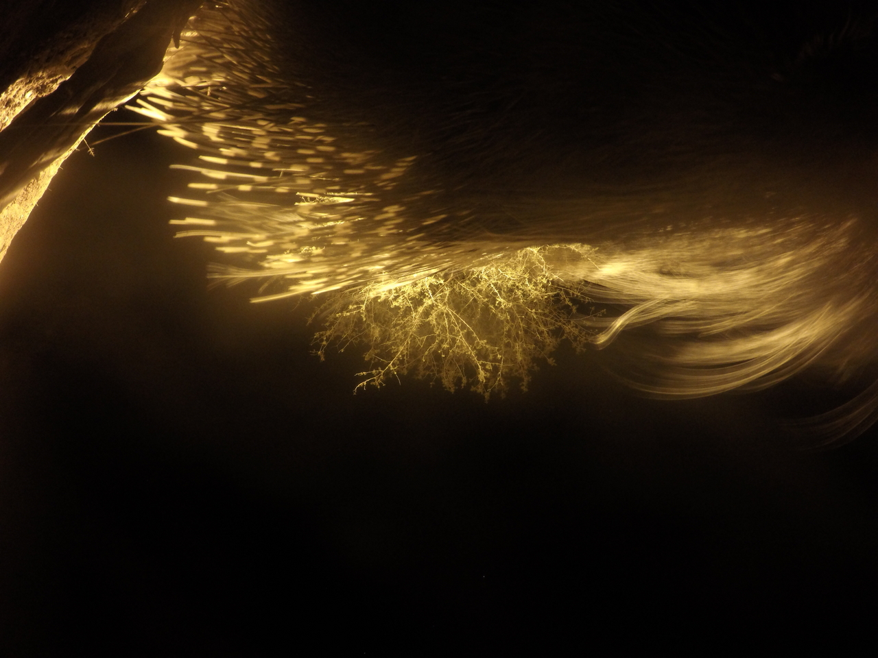 [12140] 2016_06_23_20_10_52_Africa_HERO4_Silver_IMG__04247.jpg