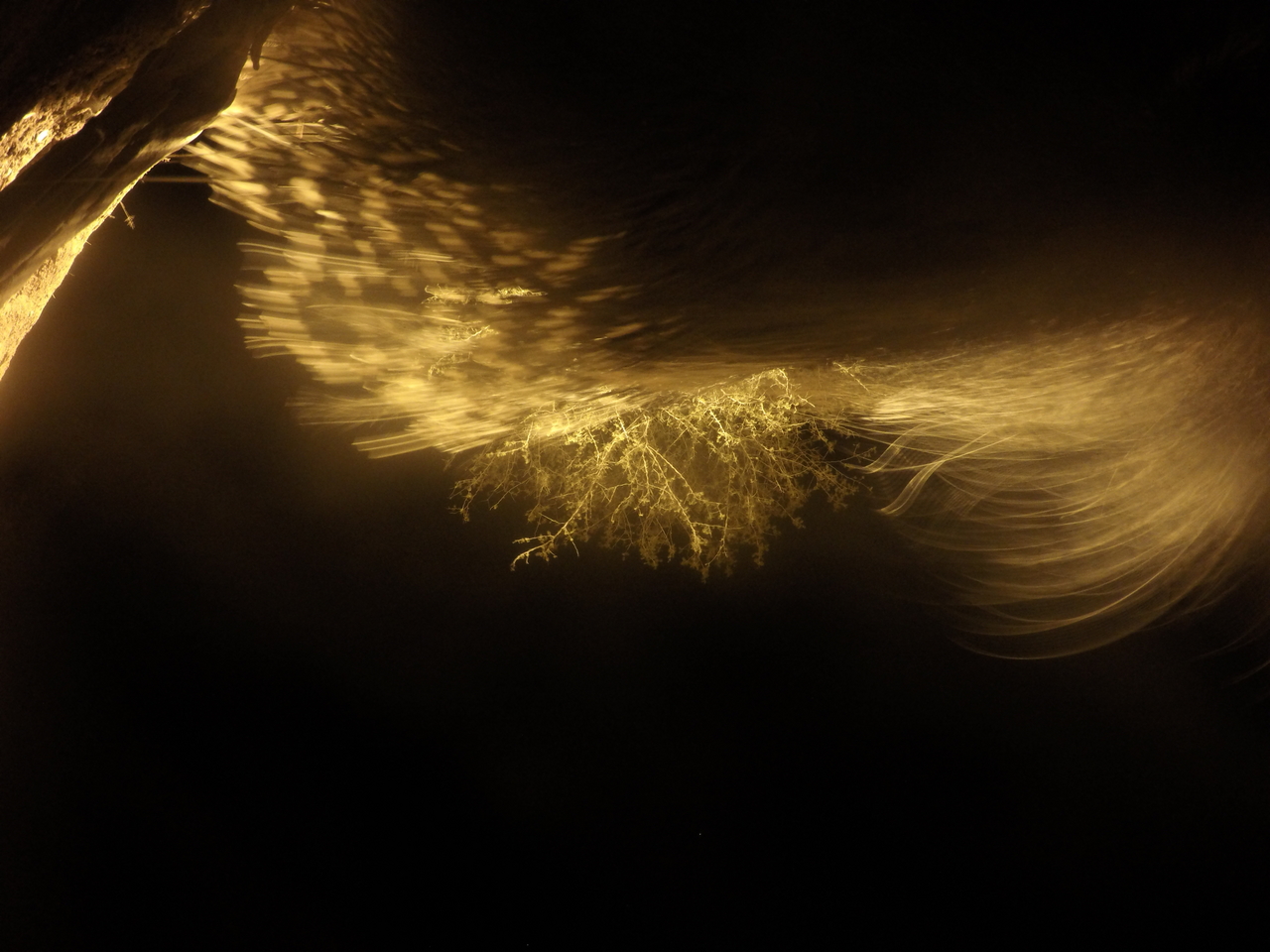 [12144] 2016_06_23_20_10_57_Africa_HERO4_Silver_IMG__00393.jpg