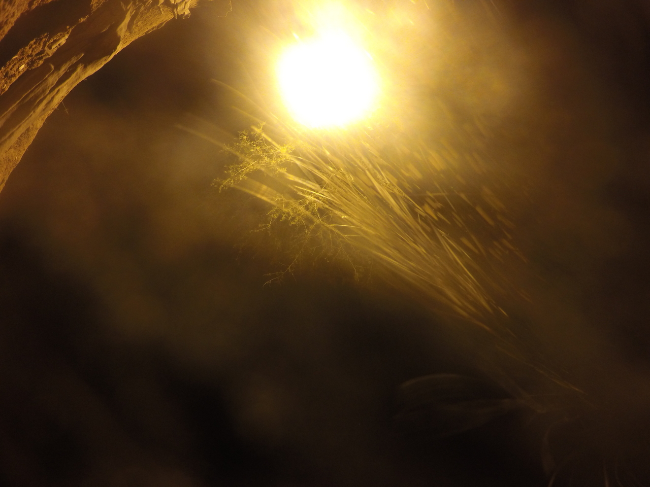 [12232] 2016_06_23_20_12_11_Africa_HERO4_Silver_IMG__04263.jpg