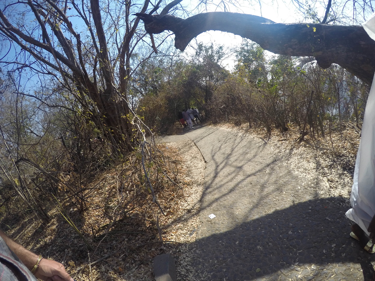 [32353] 2016_07_03_13_37_46_Africa_HERO4_Silver_IMG__04530.jpg