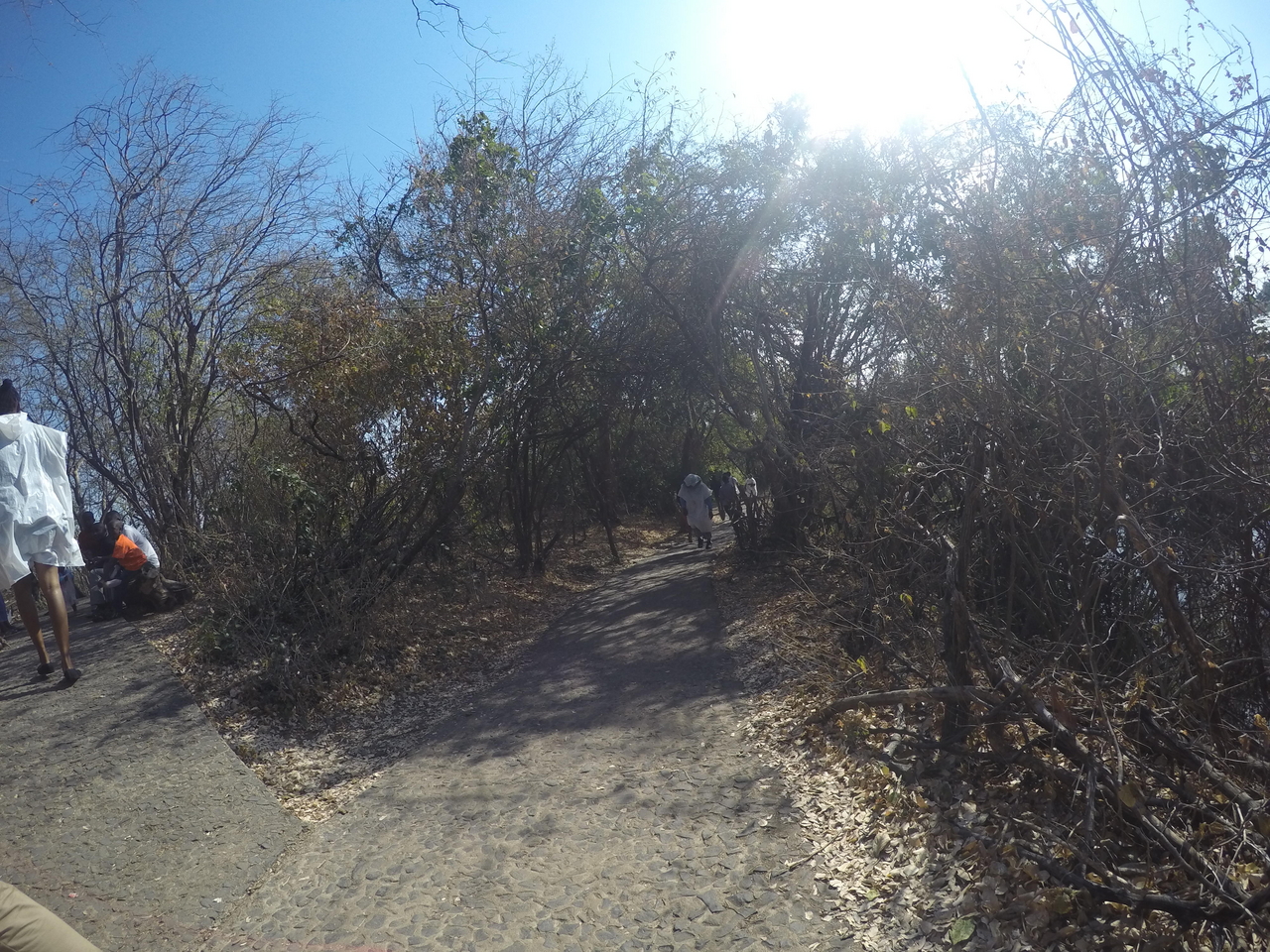 [32357] 2016_07_03_13_37_56_Africa_HERO4_Silver_IMG__04532.jpg