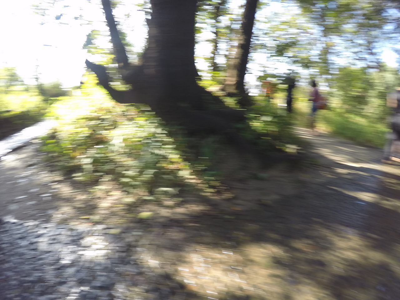 [32415] 2016_07_03_13_50_53_Africa_HERO4_Silver_IMG__04561.jpg