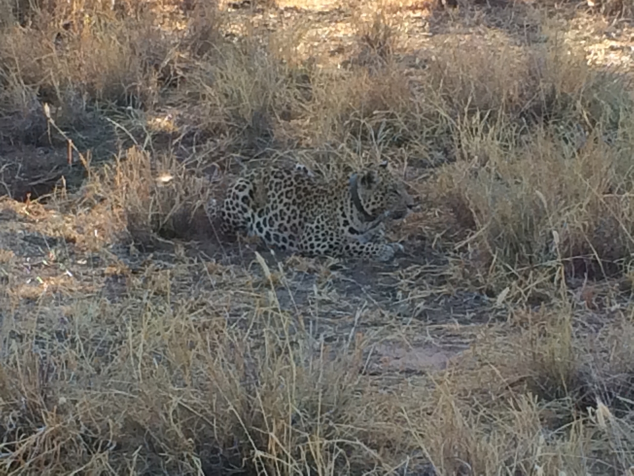 [2593] 2016_06_22_10_59_18_Africa_iPhone_5s_IMG_8090_05826.jpg