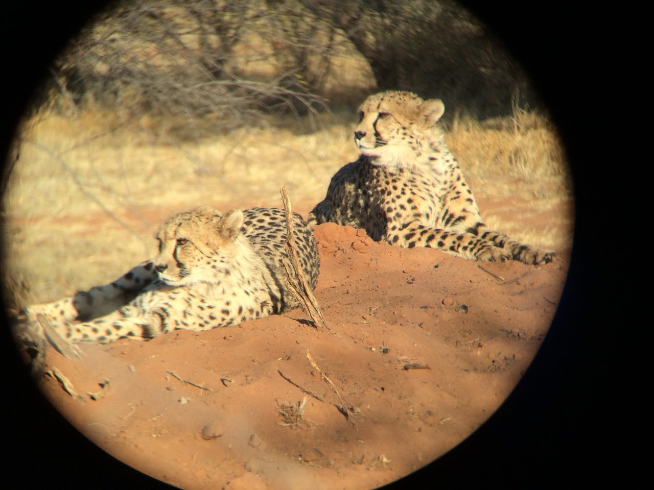 [6979] 2016_06_23_11_07_21_Africa_iPhone_5s_IMG_8210_00358.jpg