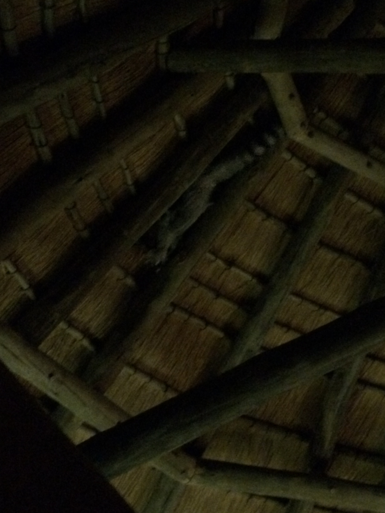 [9571] 2016_06_23_17_51_30_Africa_iPhone_5s_IMG_8267_06060.jpg