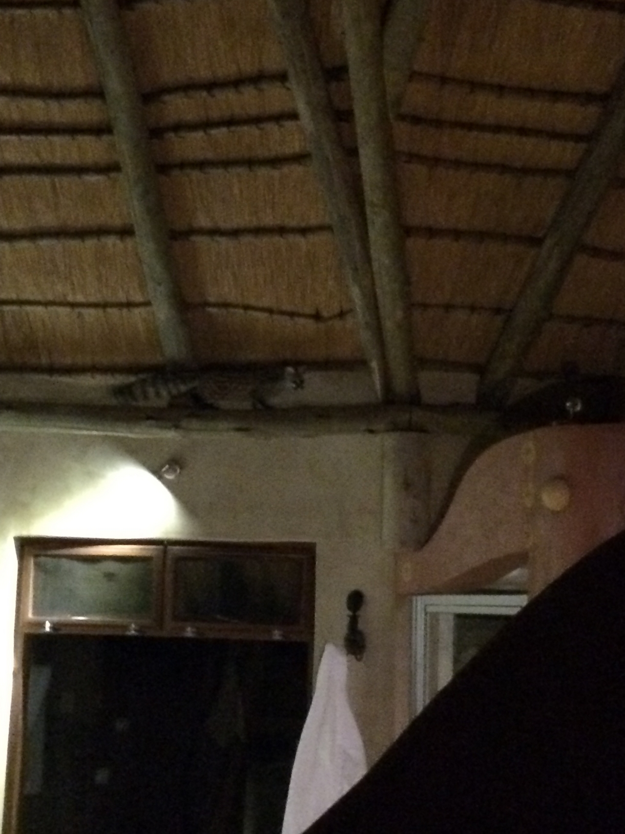 [9583] 2016_06_23_17_52_22_Africa_iPhone_5s_IMG_8271_06066.jpg