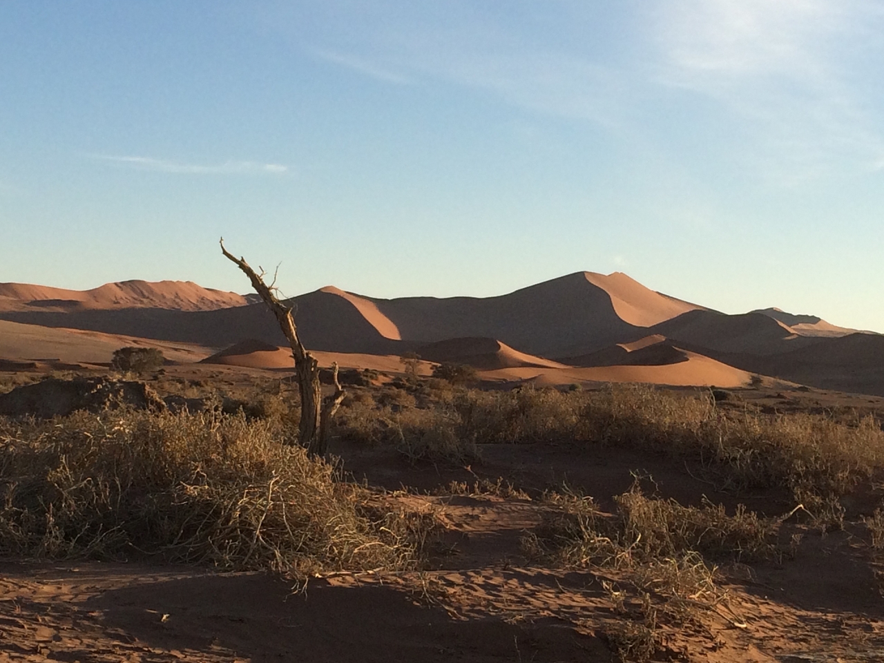 [14687] 2016_06_25_02_20_51_Africa_iPhone_5s_IMG_8305_00512.jpg