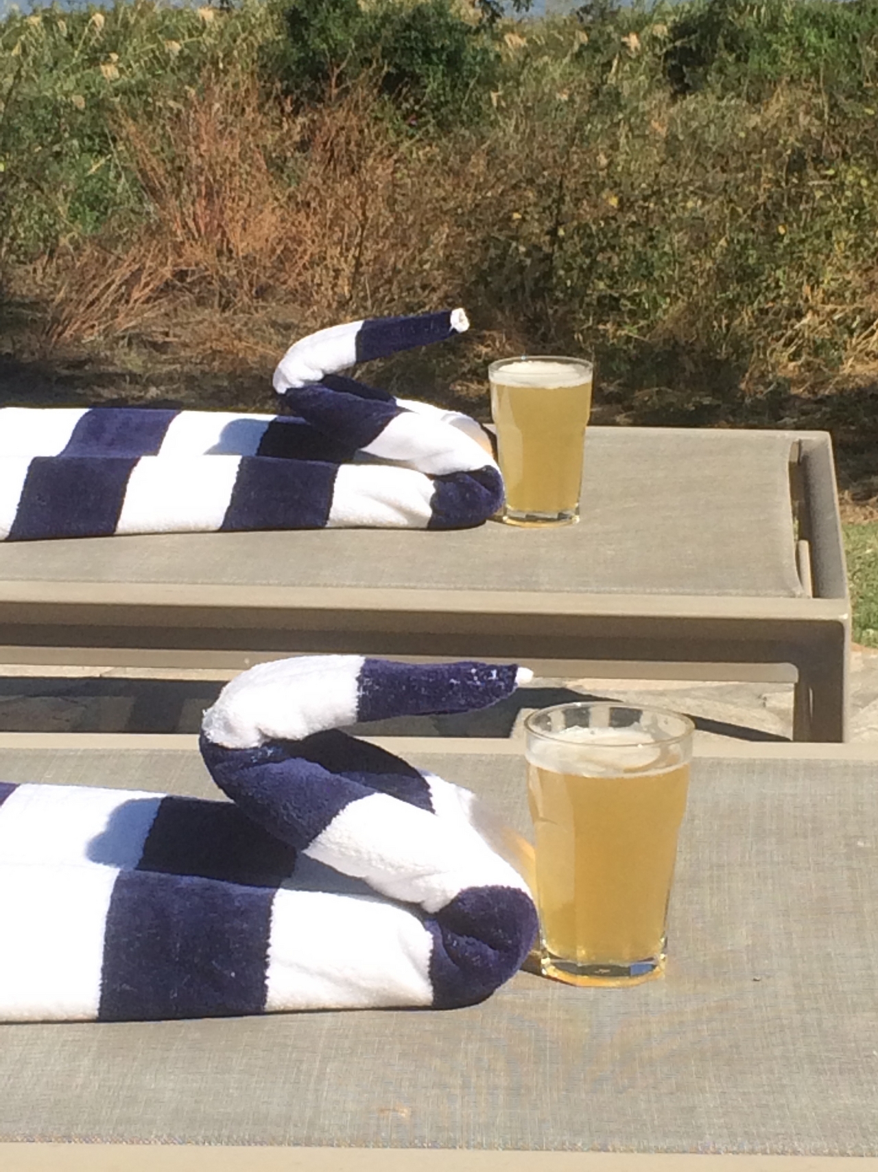 [33077] 2016_07_04_07_46_28_Africa_iPhone_5s_IMG__06521.jpg