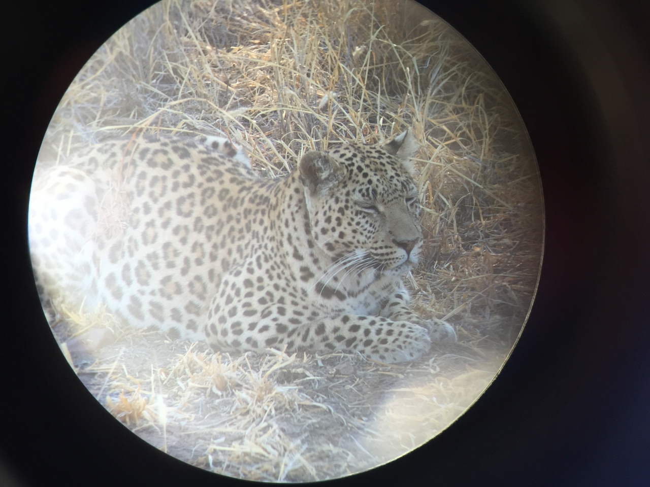 [3570] 2016_06_22_15_59_04_Africa_iPhone_6_IMG_7701_00291.jpg