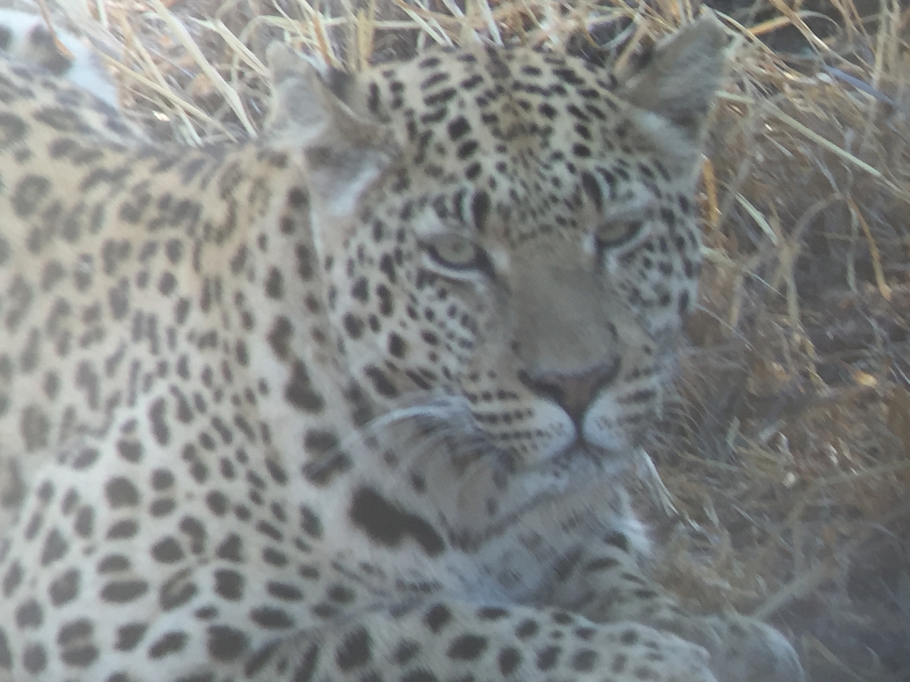 [3574] 2016_06_22_15_59_28_Africa_iPhone_6_IMG_7702_00292.jpg