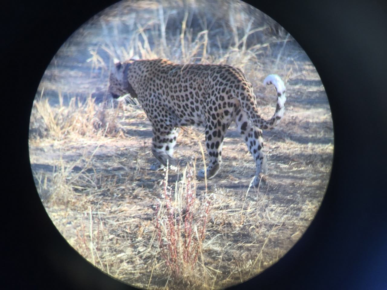 [3581] 2016_06_22_16_03_38_Africa_iPhone_6_IMG_7705_02636.jpg