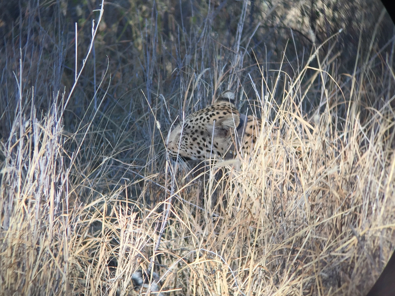 [3582] 2016_06_22_16_07_35_Africa_iPhone_6_IMG_7706_00296.jpg