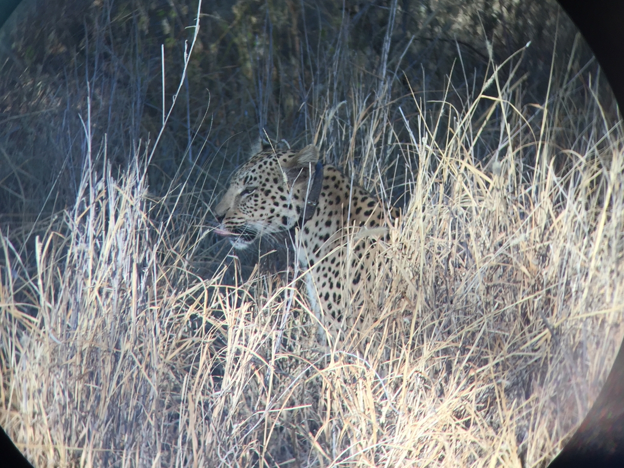 [3585] 2016_06_22_16_08_12_Africa_iPhone_6_IMG_7707_02638.jpg