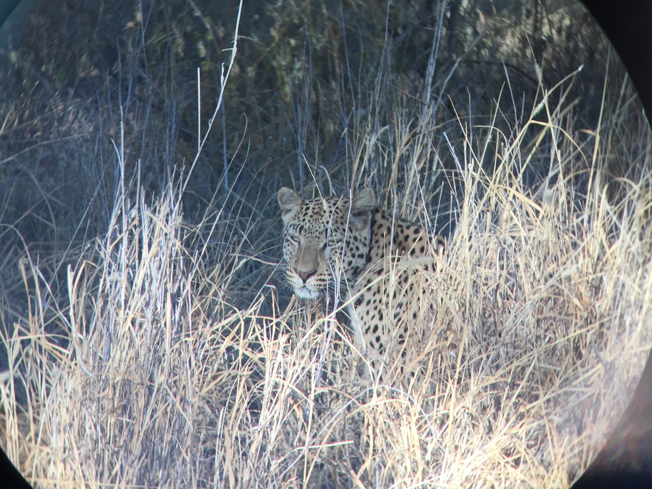 [3586] 2016_06_22_16_08_13_Africa_iPhone_6_IMG_7708_00298.jpg