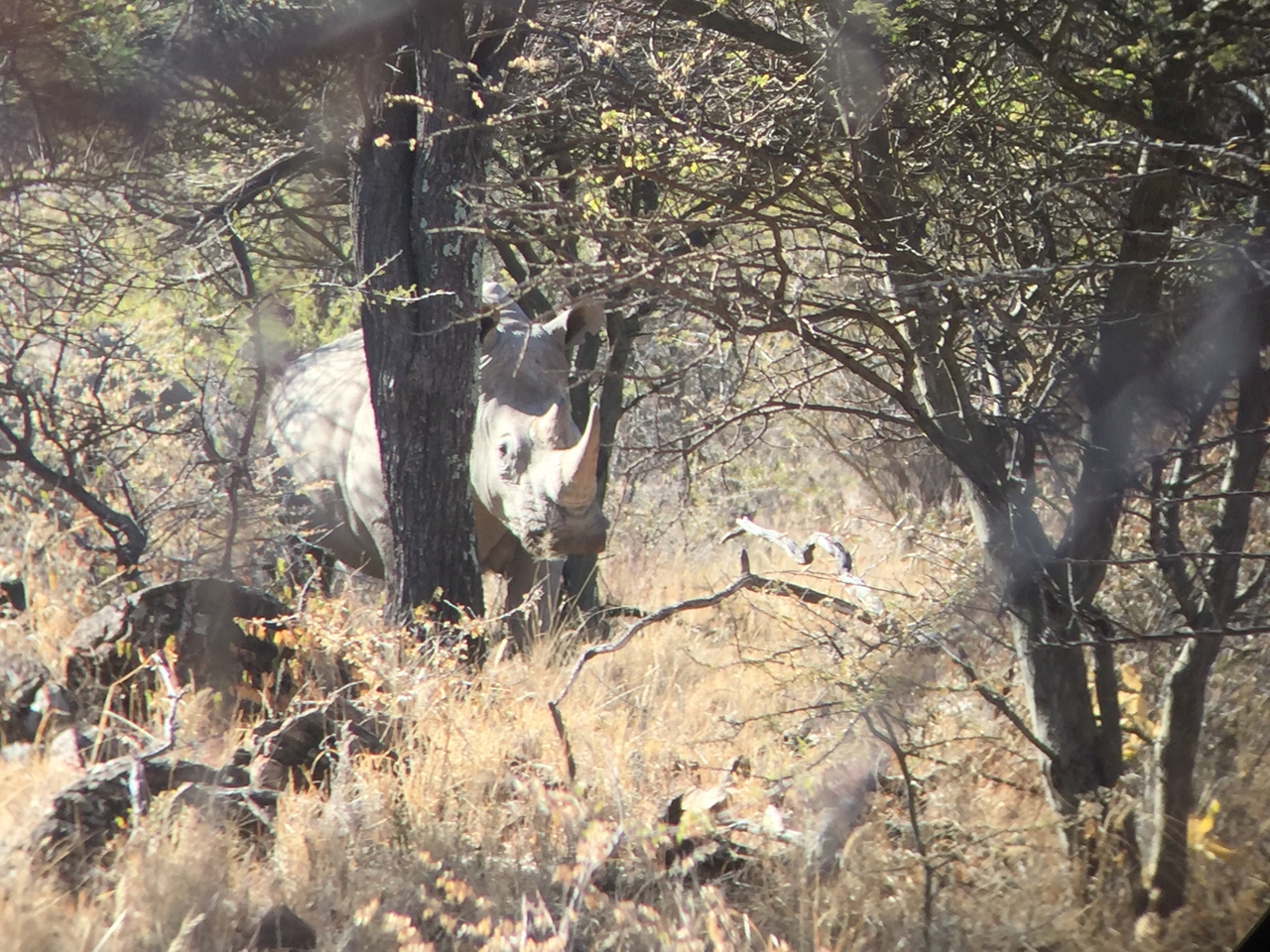 [5322] 2016_06_23_09_25_26_Africa_iPhone_6_IMG_7784_00371.jpg