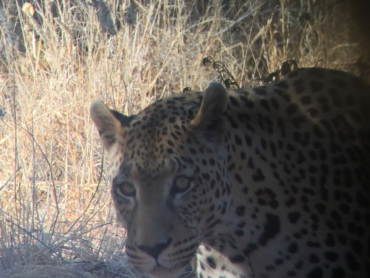 [9146] 2016_06_23_15_26_24_Africa_iPhone_6_IMG_7863_00448.jpg