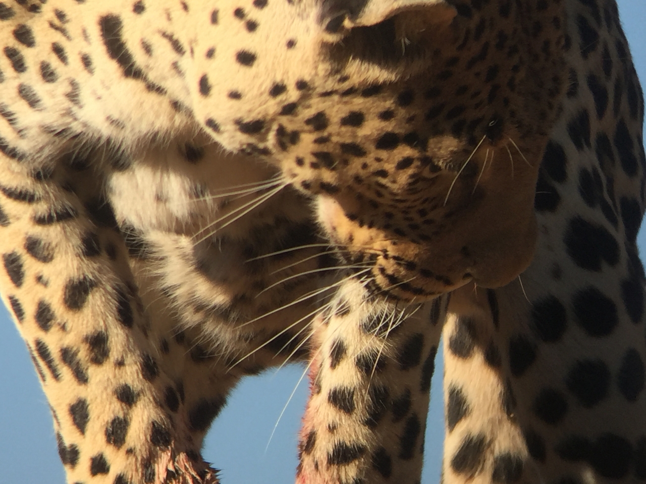 [9163] 2016_06_23_15_26_49_Africa_iPhone_6_IMG_7871_02797.jpg