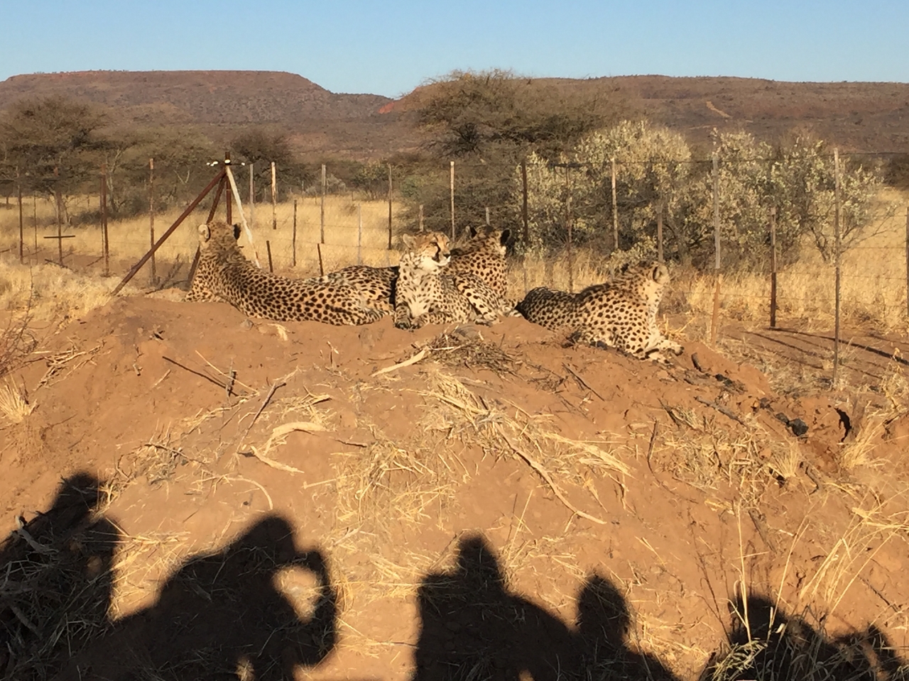 [9383] 2016_06_23_16_20_35_Africa_iPhone_6_IMG_7977_00559.jpg