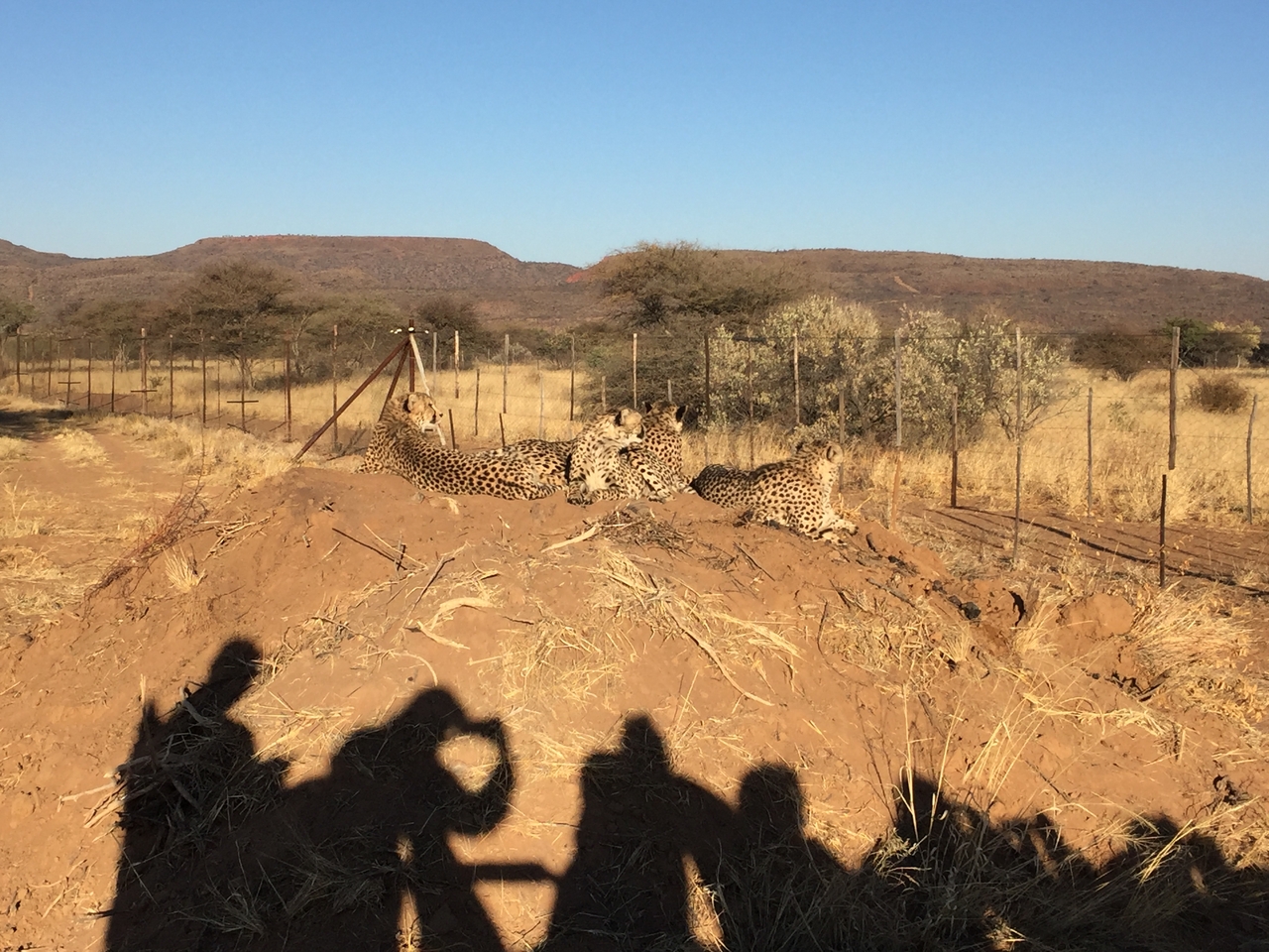 [9386] 2016_06_23_16_20_42_Africa_iPhone_6_IMG_7978_02901.jpg