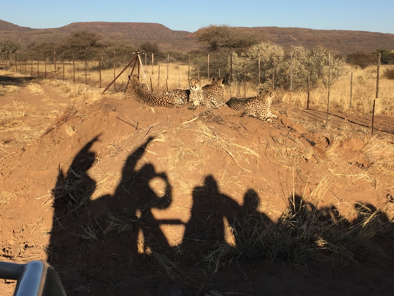 [9388] 2016_06_23_16_20_50_Africa_iPhone_6_IMG_7979_02902.jpg