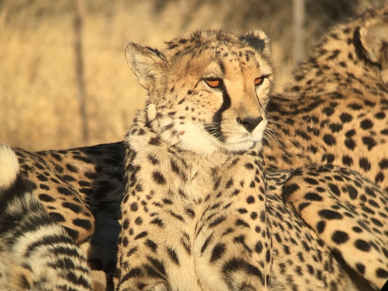 [9392] 2016_06_23_16_21_27_Africa_iPhone_6_IMG_7981_02904.jpg