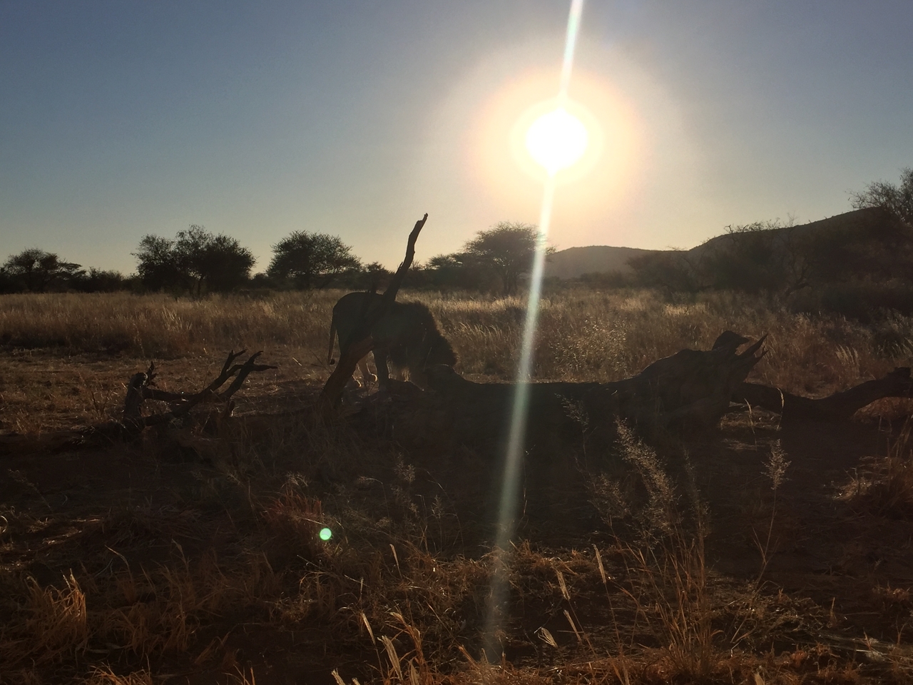 [9398] 2016_06_23_16_39_47_Africa_iPhone_6_IMG_7986_02908.jpg