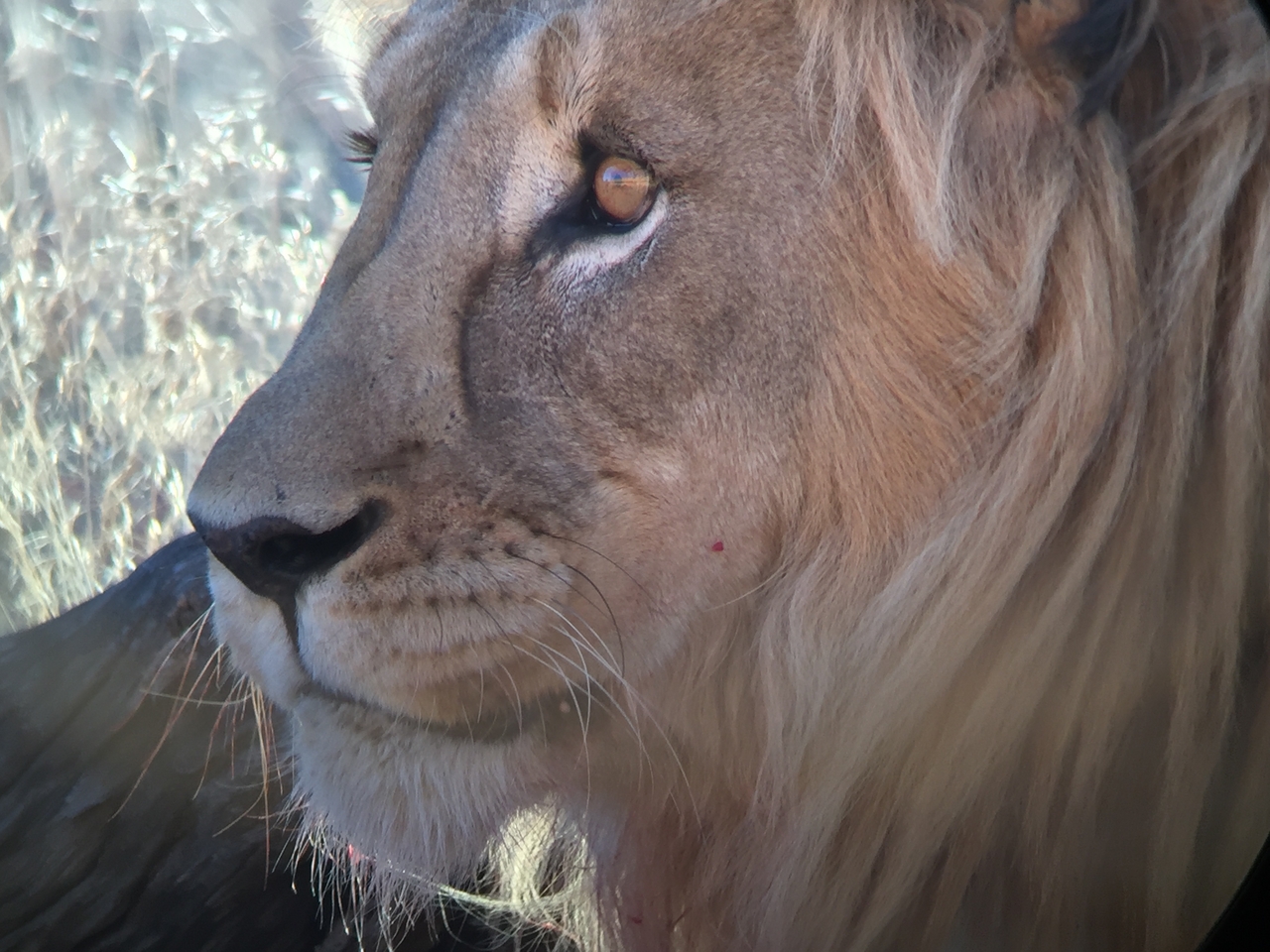 [9477] 2016_06_23_16_53_22_Africa_iPhone_6_IMG_8018_02941.jpg