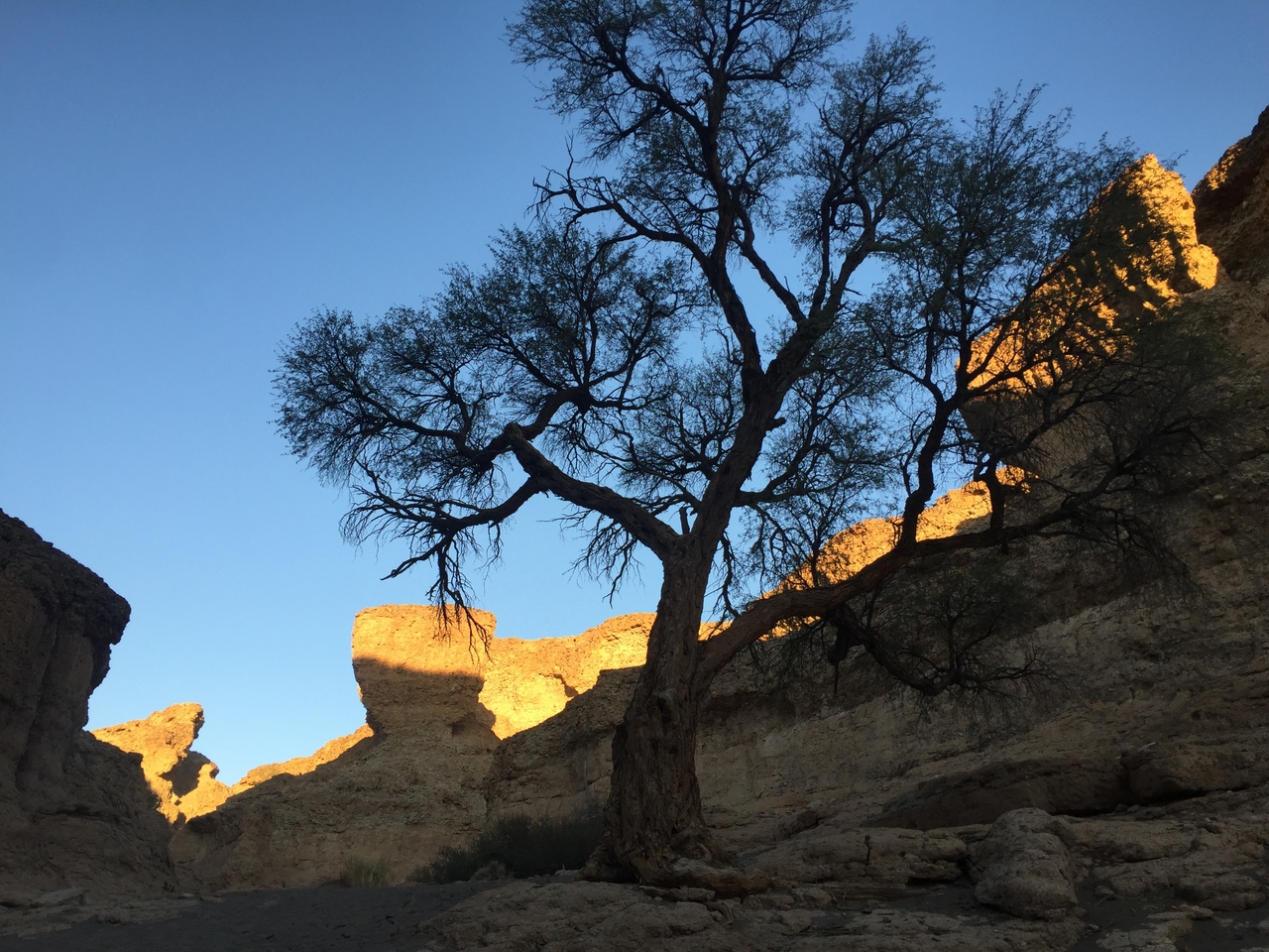 [14211] 2016_06_24_16_47_01_Africa_iPhone_6_IMG_8114_00687.jpg