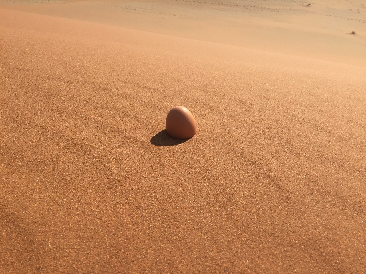 [15691] 2016_06_25_08_24_57_Africa_iPhone_6_IMG_8211_00198.jpg