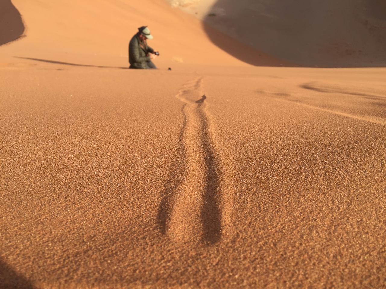 [15709] 2016_06_25_08_31_54_Africa_iPhone_6_IMG_8219_00204.jpg