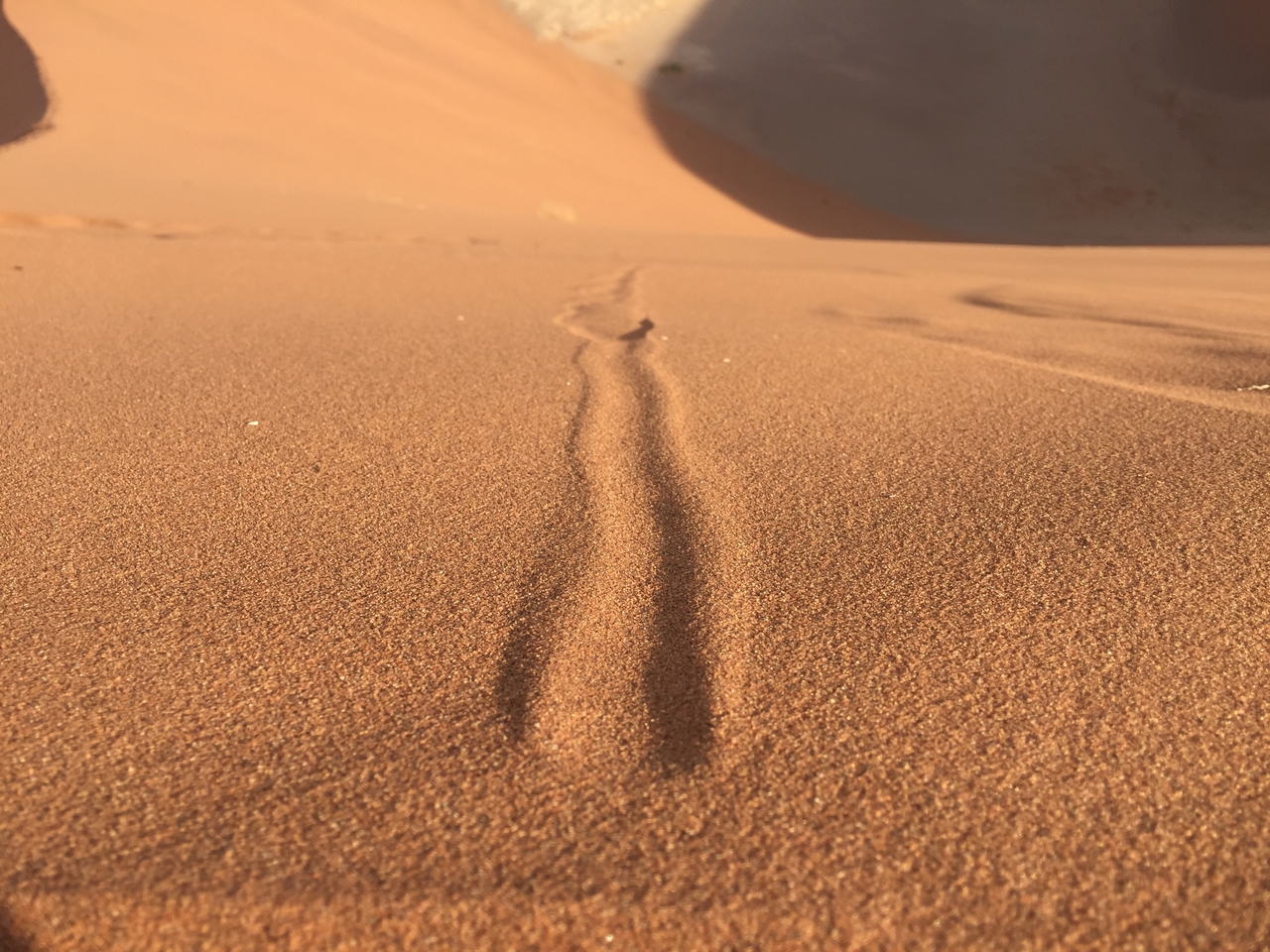 [15713] 2016_06_25_08_32_20_Africa_iPhone_6_IMG_8220_00787.jpg