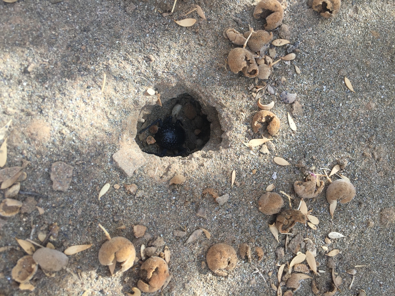 [16285] 2016_06_25_12_25_15_Africa_iPhone_6_IMG_8322_03214.jpg