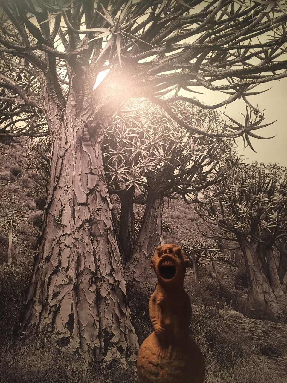 [16669] 2016_06_26_17_47_40_Africa_iPhone_6_IMG_8390_03273.jpg