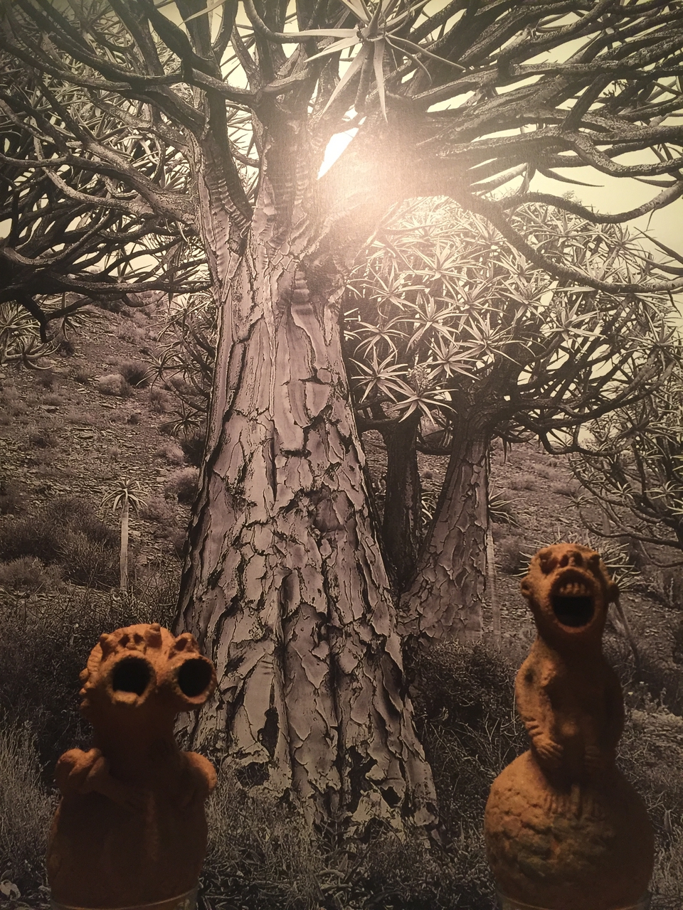 [16672] 2016_06_26_17_48_10_Africa_iPhone_6_IMG_8391_03274.jpg