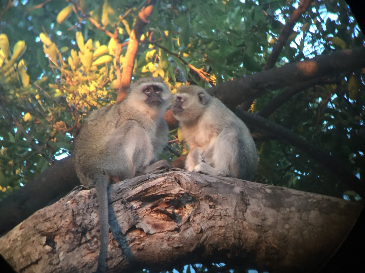 [19825] 2016_06_28_07_10_34_Africa_iPhone_6_IMG_8467_00425.jpg