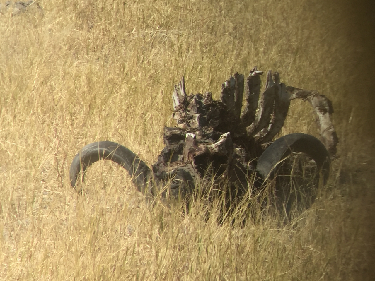 [20036] 2016_06_28_10_42_49_Africa_iPhone_6_IMG_8512_01048.jpg