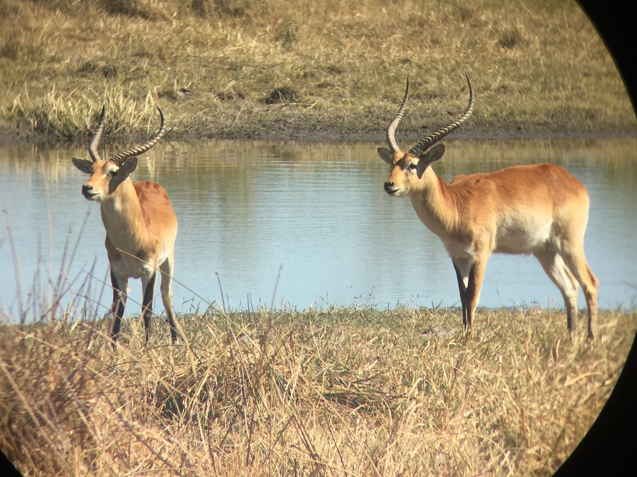 [20085] 2016_06_28_11_32_58_Africa_iPhone_6_IMG_8526_00476.jpg