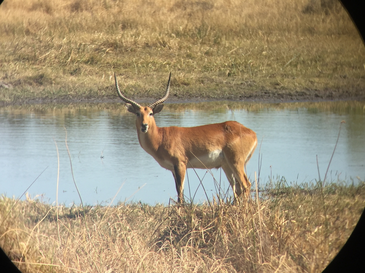 [20089] 2016_06_28_11_33_05_Africa_iPhone_6_IMG_8527_01059.jpg