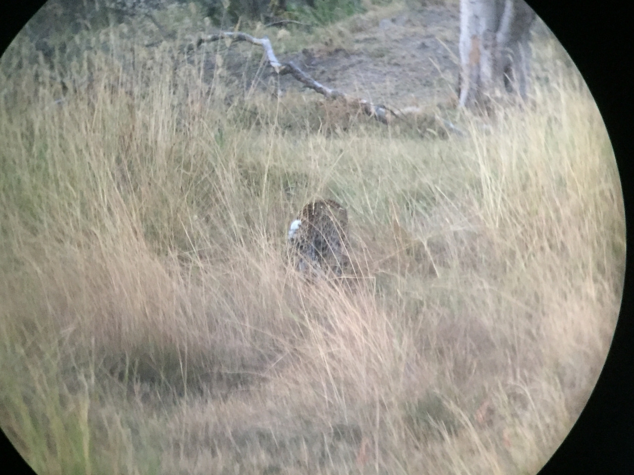 [22243] 2016_06_29_18_09_10_Africa_iPhone_6_IMG_8568_01096.jpg