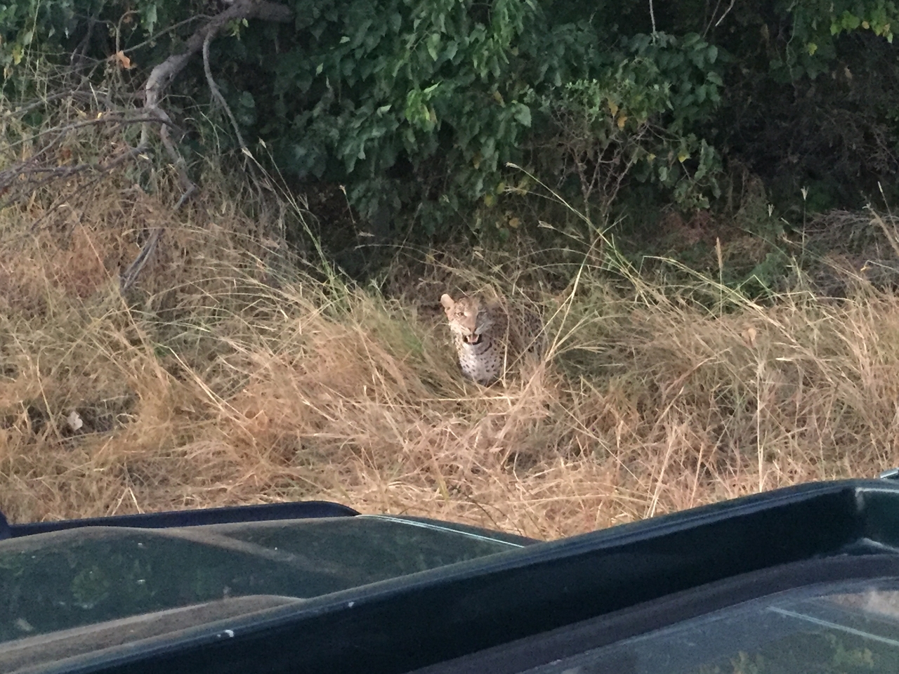 [22247] 2016_06_29_18_12_50_Africa_iPhone_6_IMG_8570_03438.jpg