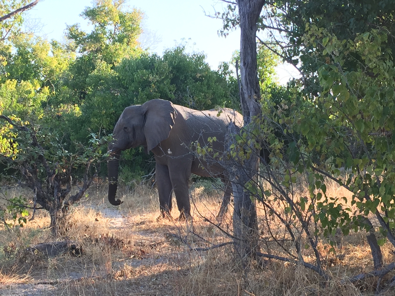 [26619] 2016_06_30_16_56_09_Africa_iPhone_6_IMG_8608_00548.jpg